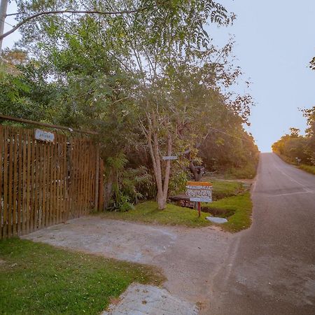Aruana Suites Seu Refugio Entre Arvores A 5Km Da Vila De Praia Do Forte Exteriör bild